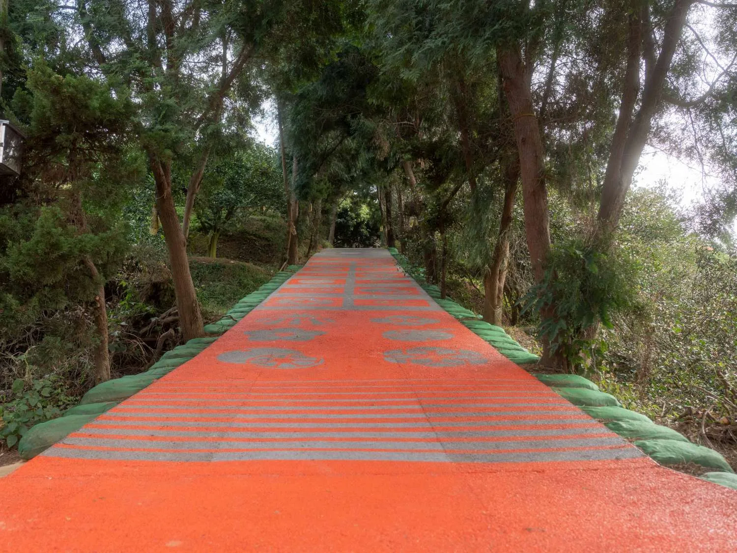 香山茄苳景觀步道完工啟用