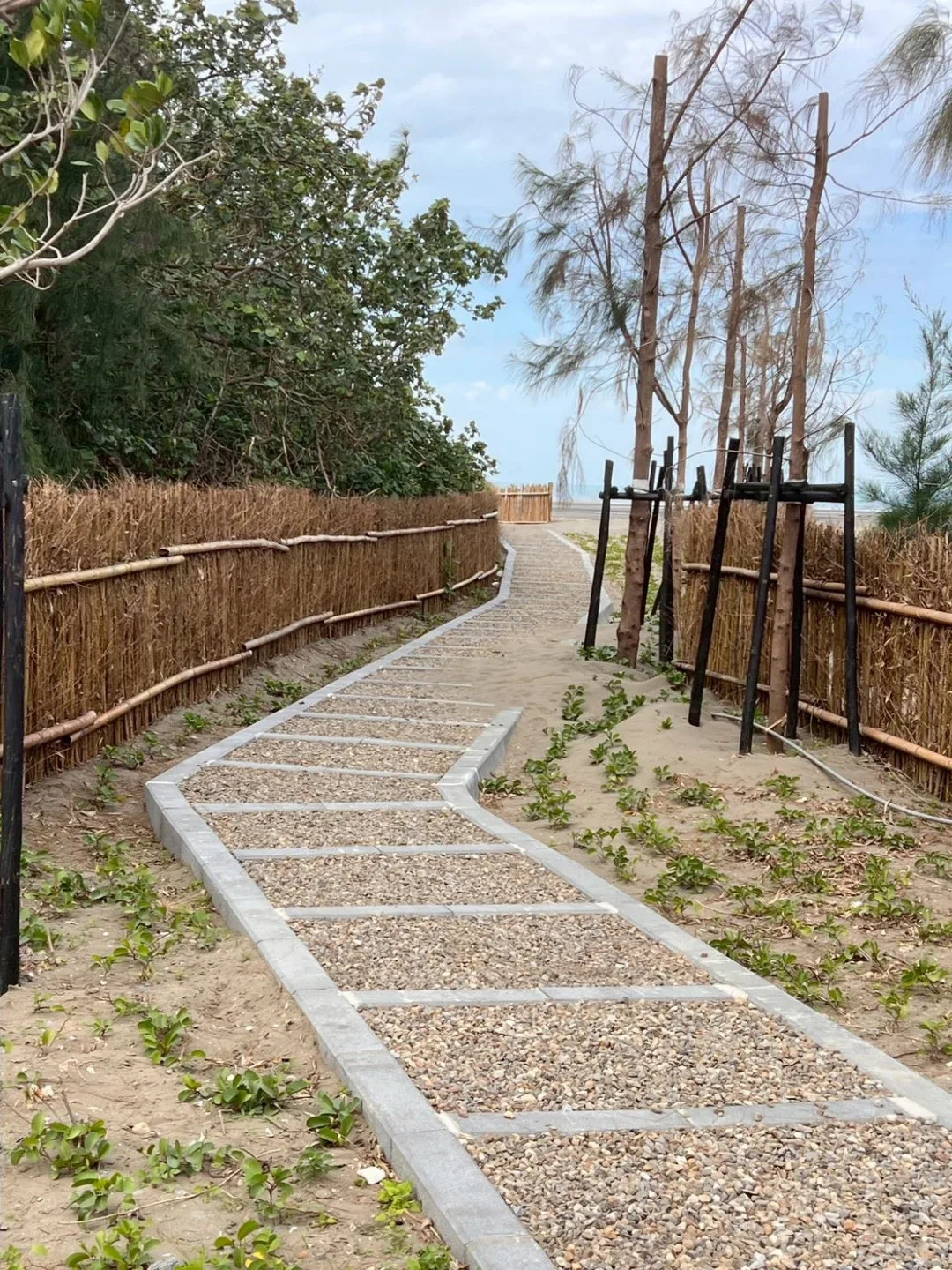 鳳坑沙灣二期工程增設的定砂竹圍籬與步道。