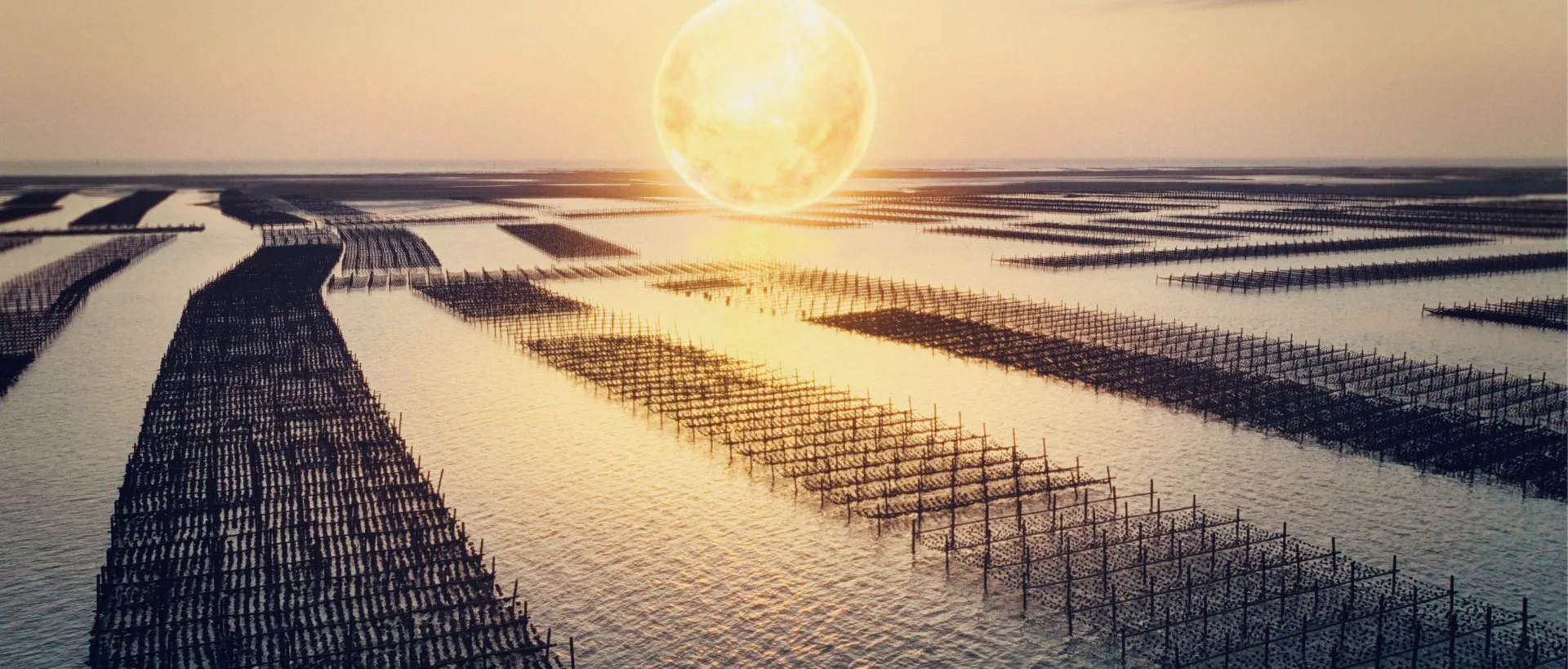 「太陽之都X嘉義人」2026台灣燈會形象影片將嘉義之美記錄下來。翻攝自影片截圖