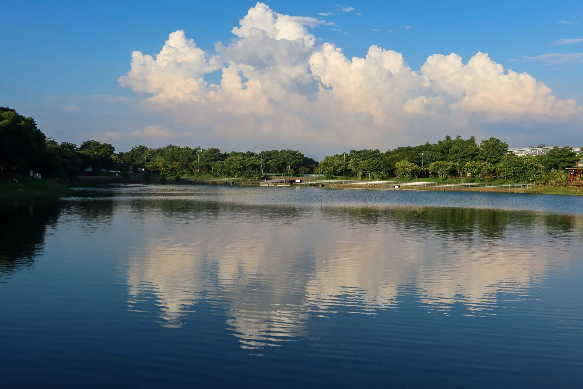 聯合大學大學湖秋高氣爽時，白雲倒映在湖面很美。何來美攝