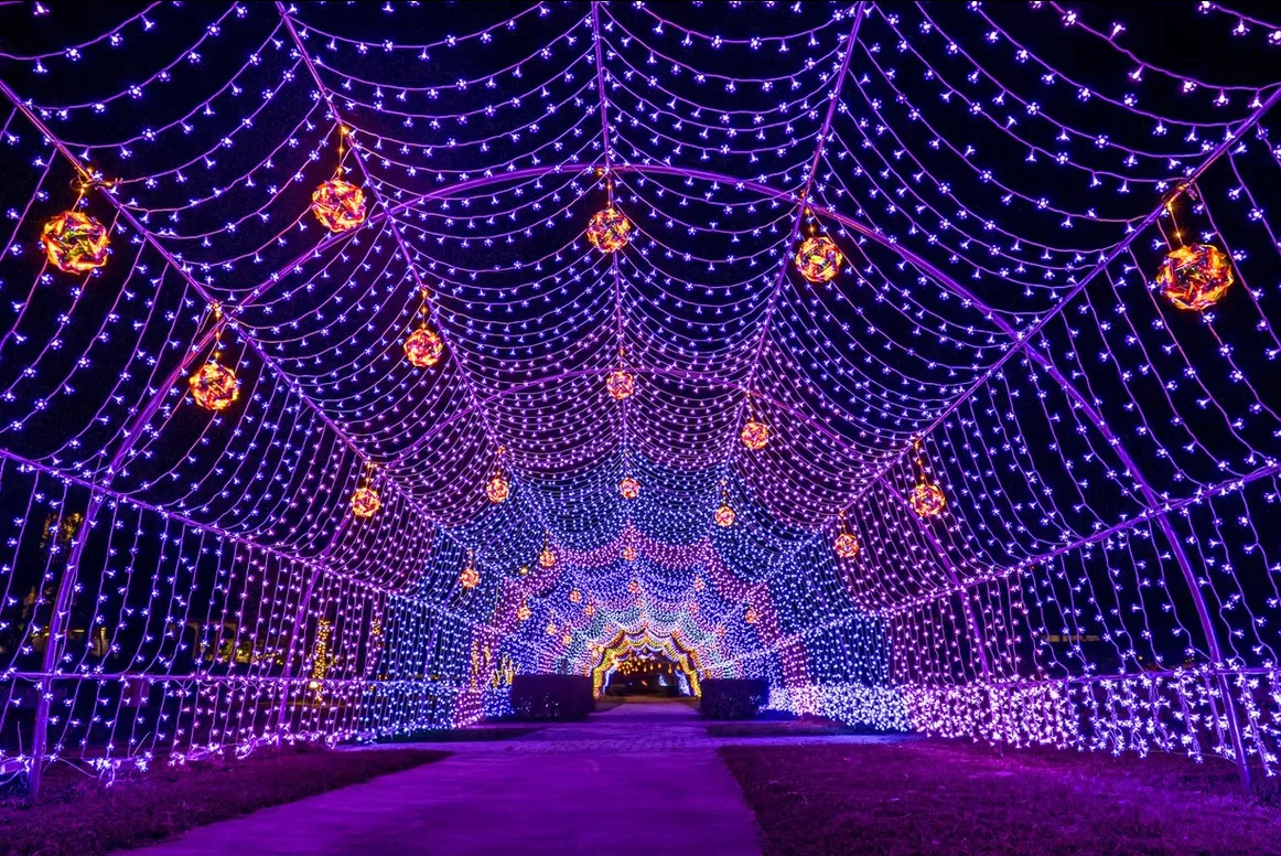 縣民公園燈區──花語星橋。翻攝2026屏東燈節官網