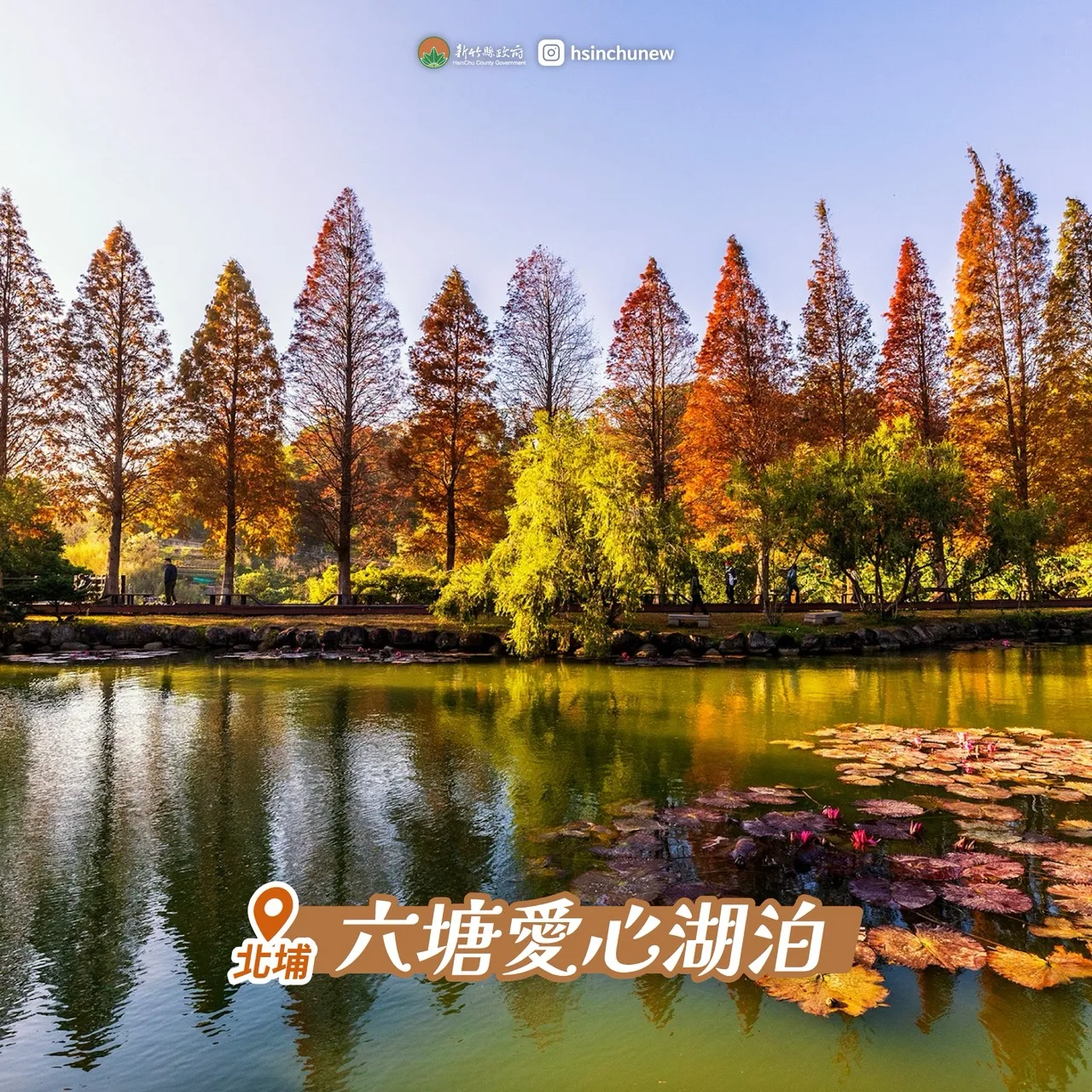 「北埔六塘」以圍繞愛心湖泊的落羽松景致聞名,緋紅樹影映照湖面,營造出浪漫靜謐的氛圍。新竹縣政府提供