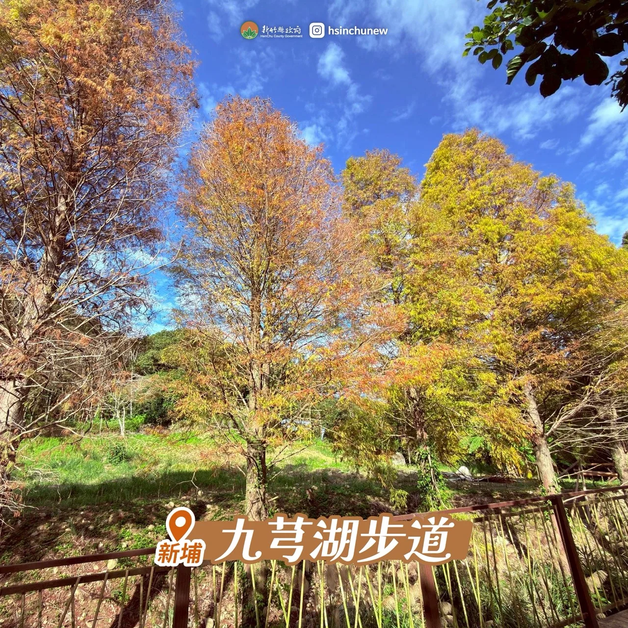 新埔鎮的「九芎湖」步道群是結合健行與賞落羽松的熱門路線。新竹縣政府提供