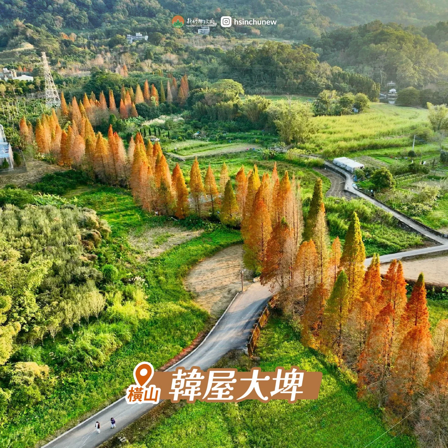 竹34號鄉道旁的「韓屋大埤」,水圳兩側成排落羽松沿岸延伸,轉紅後倒映水面,景色宛如童話場景。新竹縣政府提供