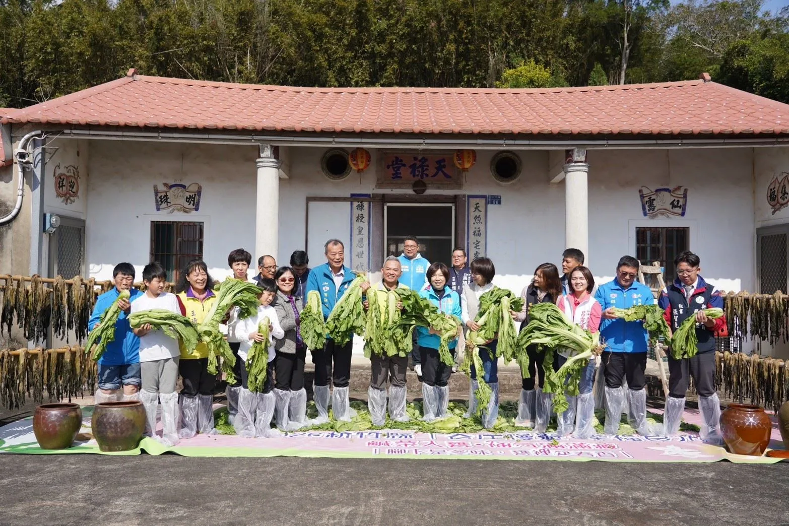 記者會上眾人踩芥菜製作鹹菜。新竹縣政府提供