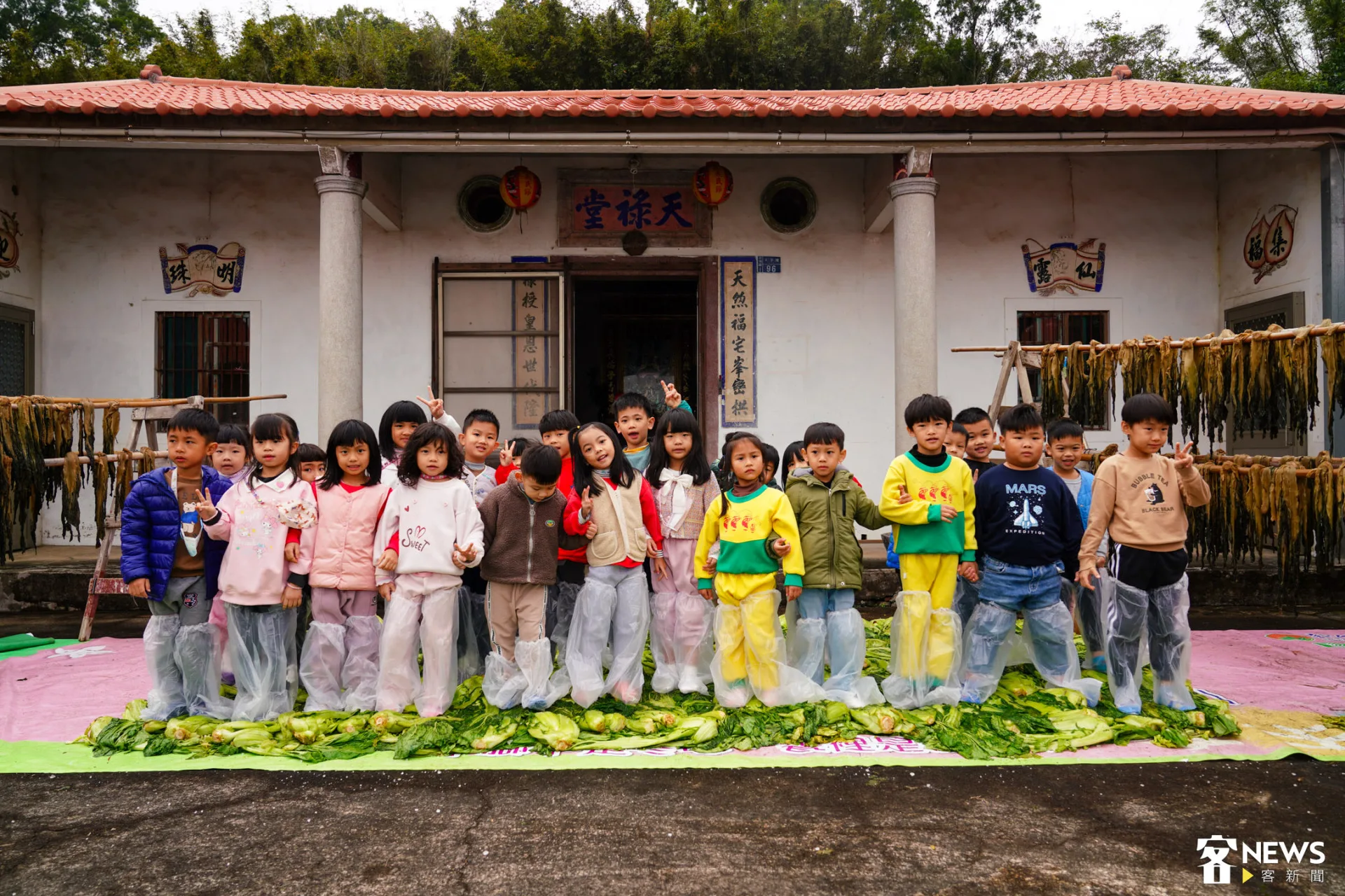 對很多小朋友來說，這是他們踩芥菜的初體驗。朱愷元攝
