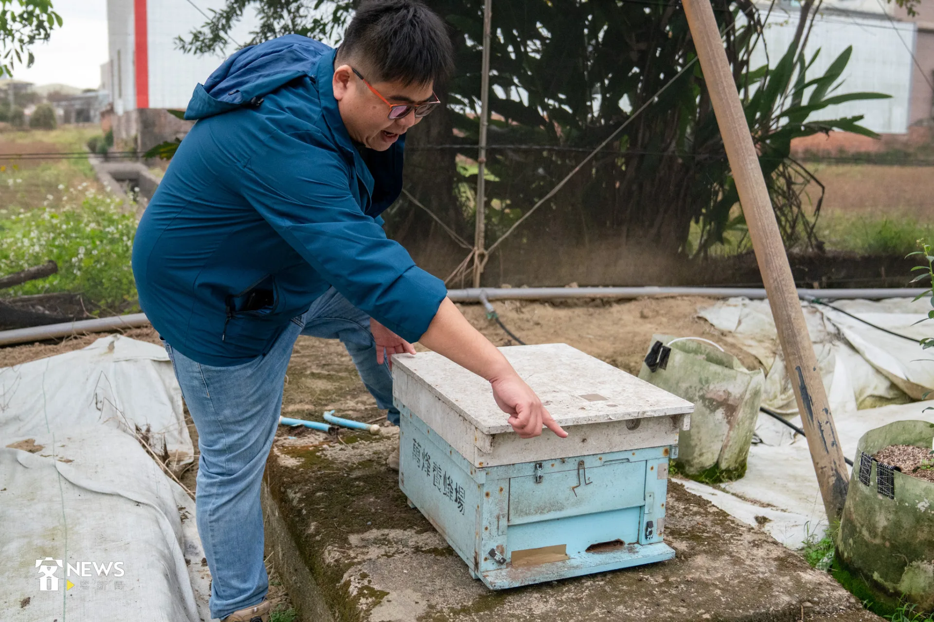藍莓需要異花授粉,因此請來一箱蜜蜂在網室中「駐點」幫忙。李宥妍攝