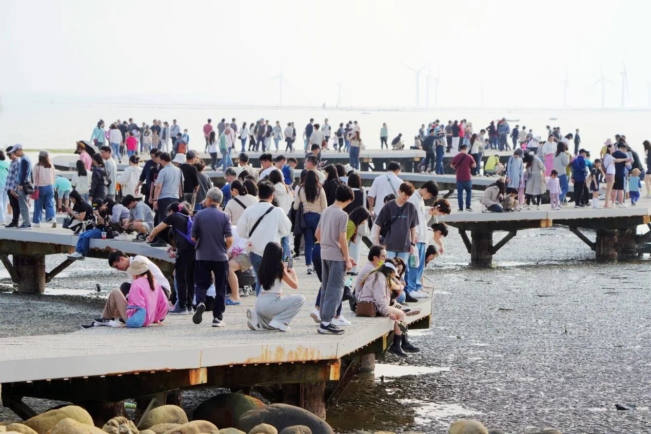 香山濕地賞蟹步道，提供民眾觀察潮間帶生物。竹市府提供
