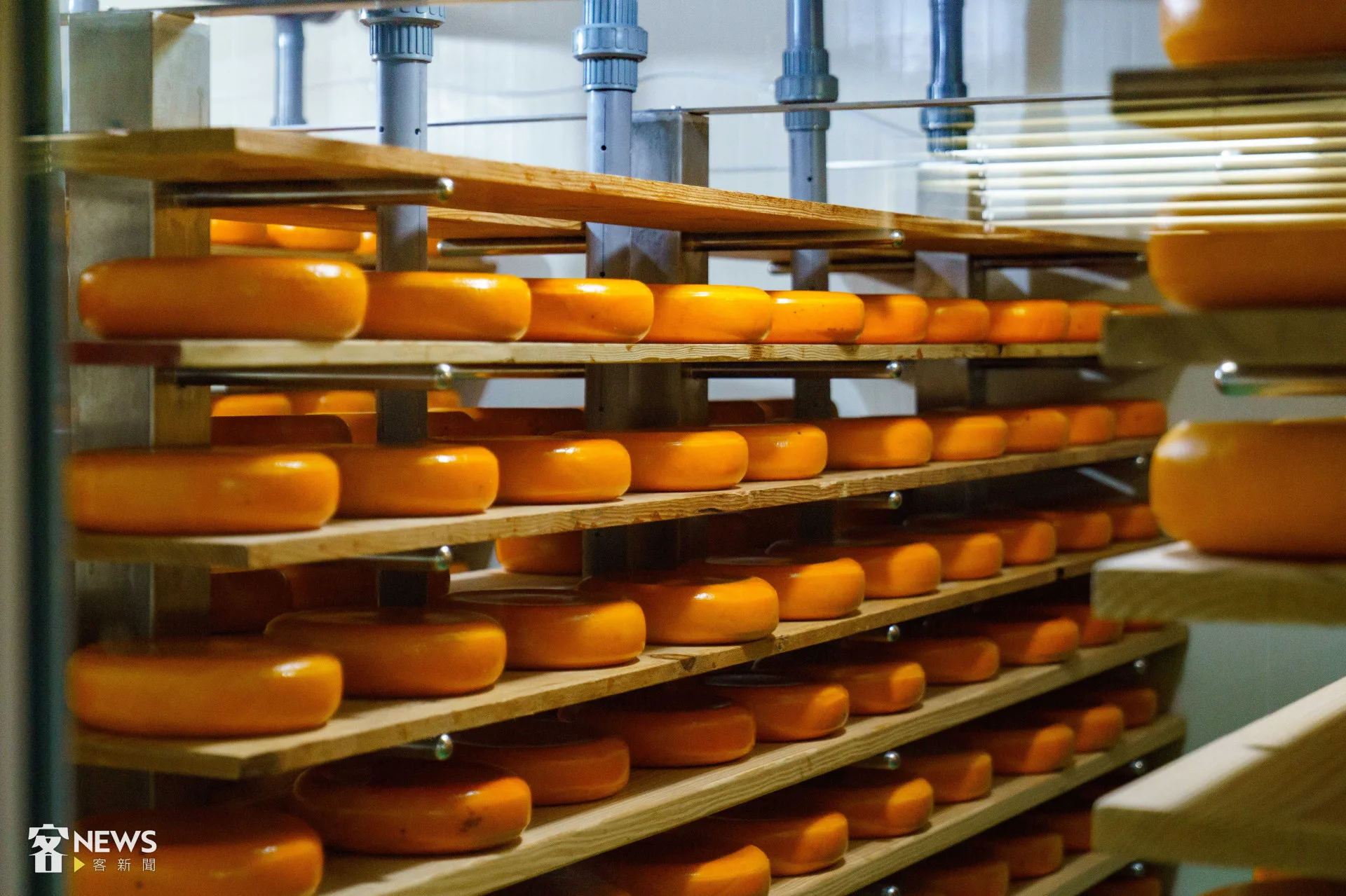 高達起司,通常需要6個月的熟成。李台源攝