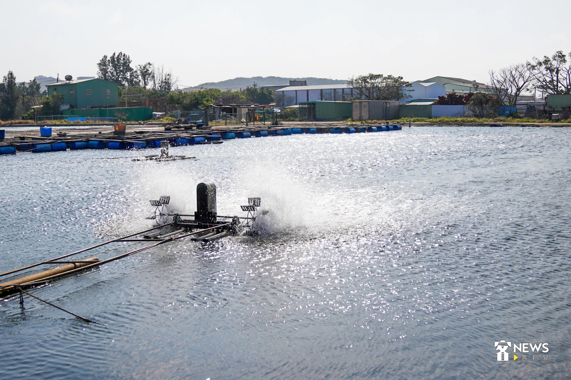 許家的烏魚養殖池,就在住家後面、香山海邊。蔡依璇攝