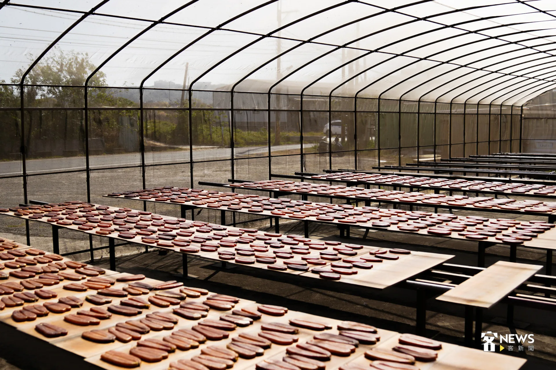 許家的烏魚子晾曬場,特地搭篷維護清潔衛生。蔡依璇攝