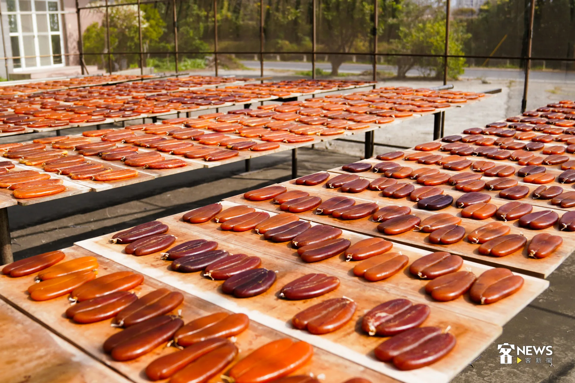 竹魚水產的烏魚子,採日曬、九降風乾。蔡依璇攝