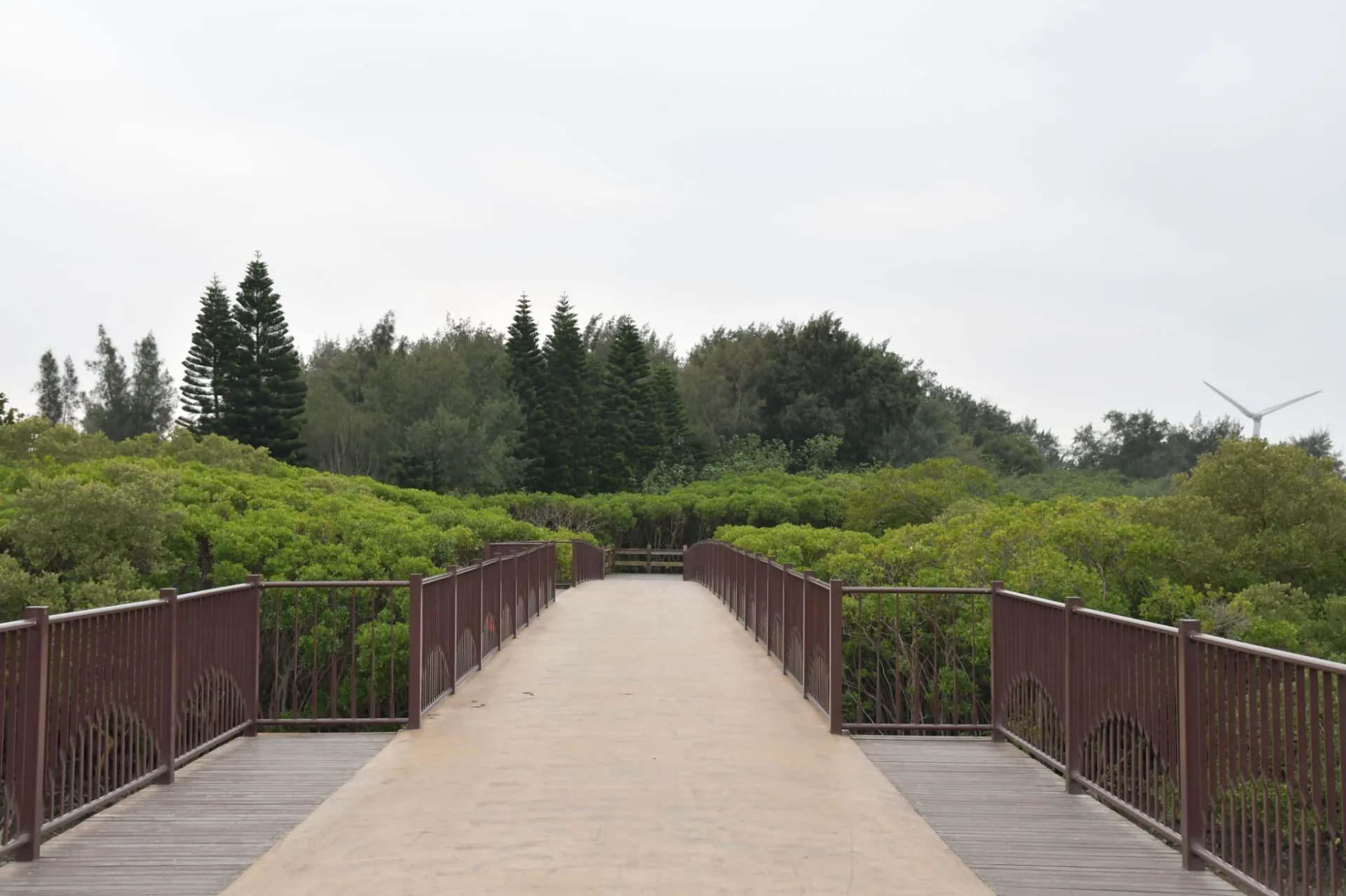 「全民瘋運動」系列影片共規劃4集，路線涵蓋專業運動場館、河濱綠地、濱海風光及鄉道田園等不同場景。新竹縣政府提供