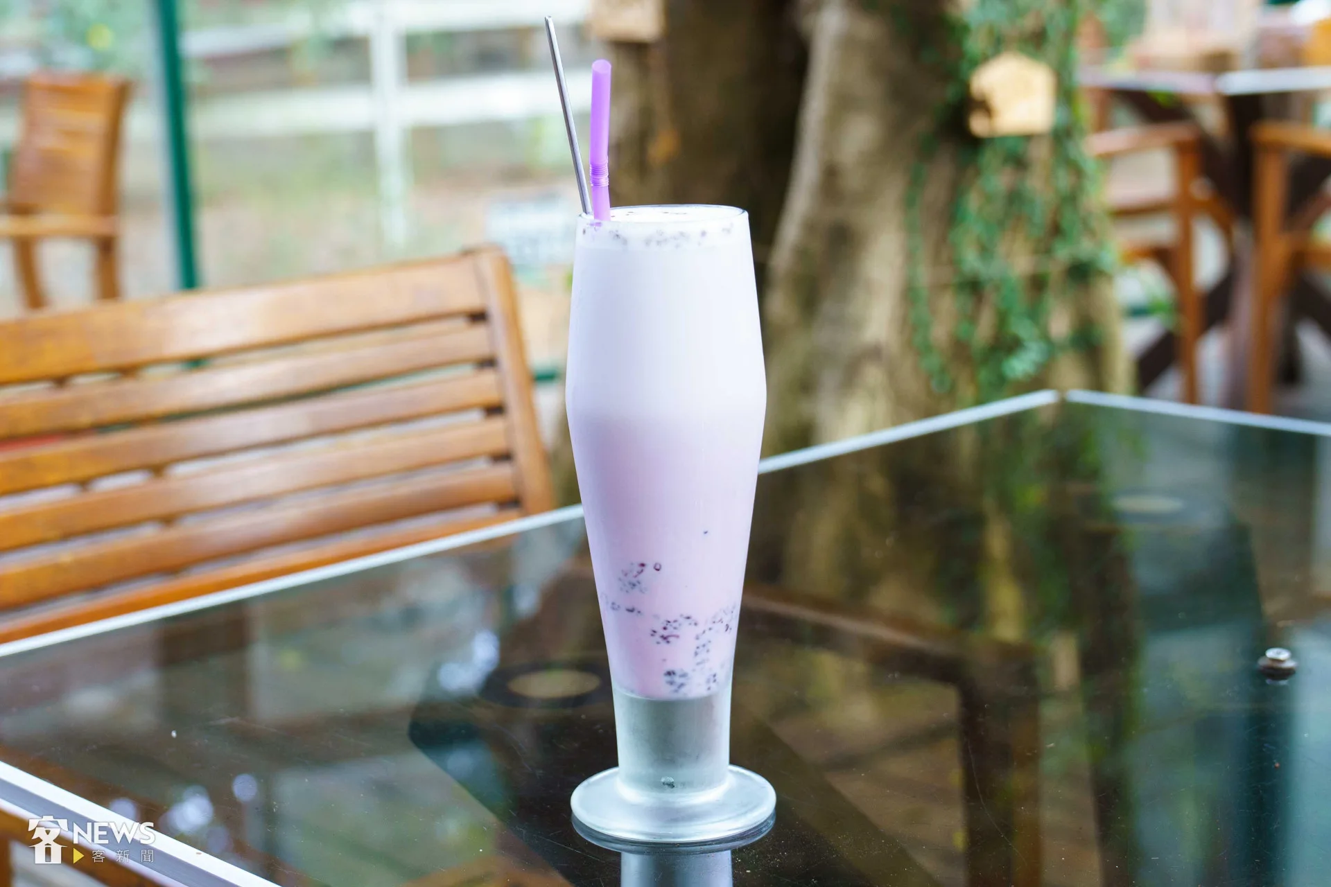 工作人員表示桑椹鮮奶中的桑椹也是牧場內的摘的。李台源攝