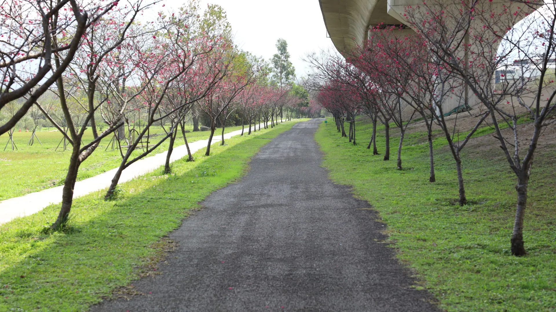 「全民瘋運動」系列影片共規劃4集，路線涵蓋專業運動場館、河濱綠地、濱海風光及鄉道田園等不同場景。新竹縣政府提供