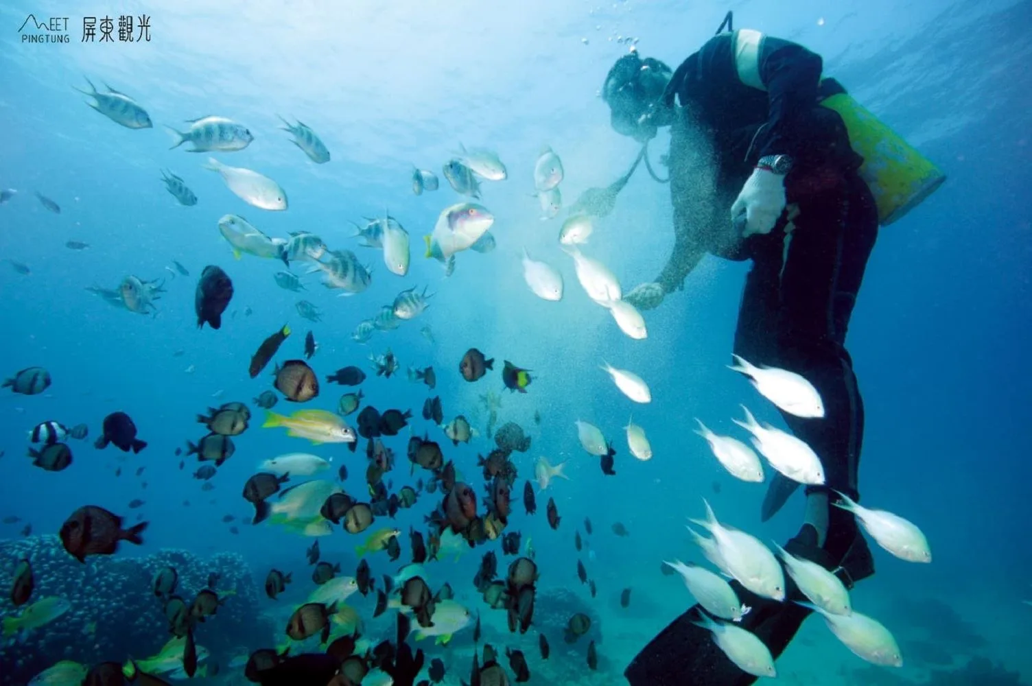 後壁湖雀屏山湖區。屏東縣政府提供