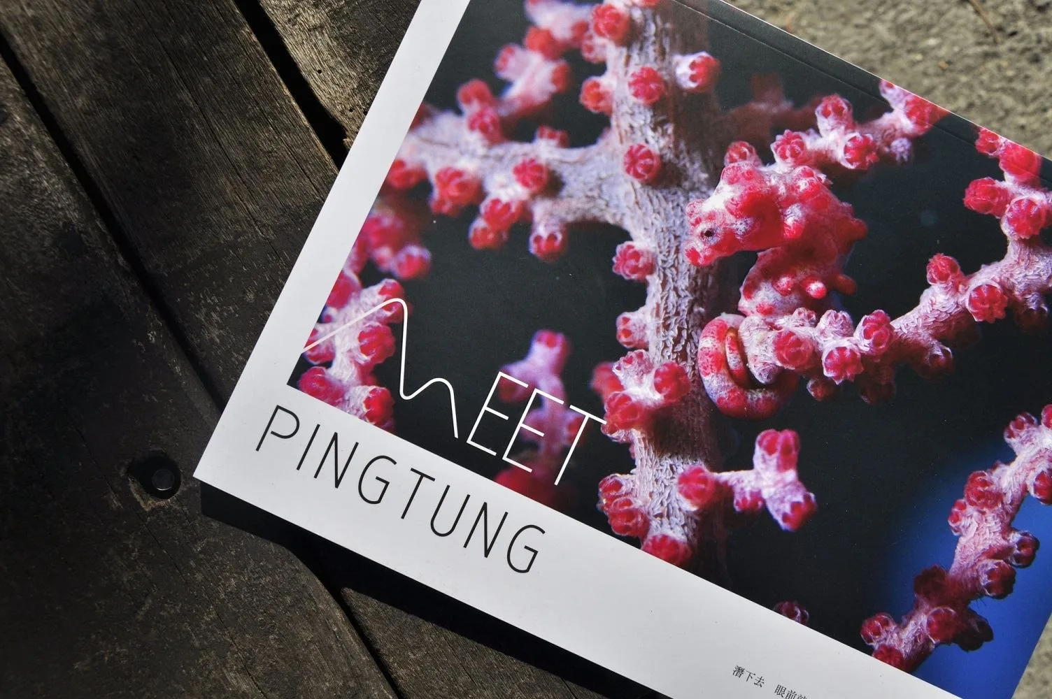 屏東旅遊工具出《Meet Pingtung》出刊,推薦海陸空玩法。屏東縣政府提供