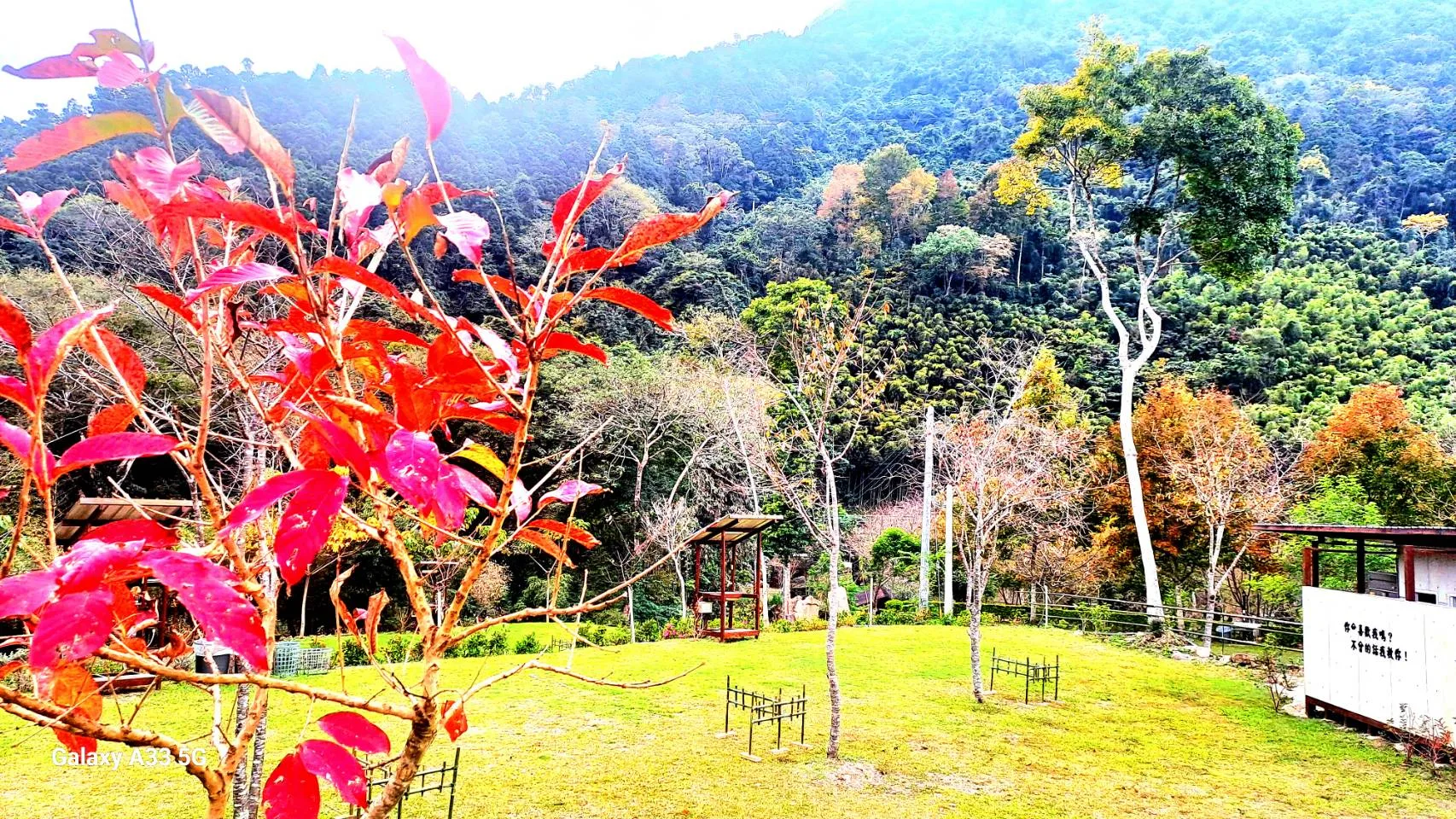 新竹縣政府29日核發轄內首件農牧用地申請露營場設立登記案件，由位於露營產業熱區五峰鄉的「鹿林濤營地」奪得頭籌。新竹縣政府提供