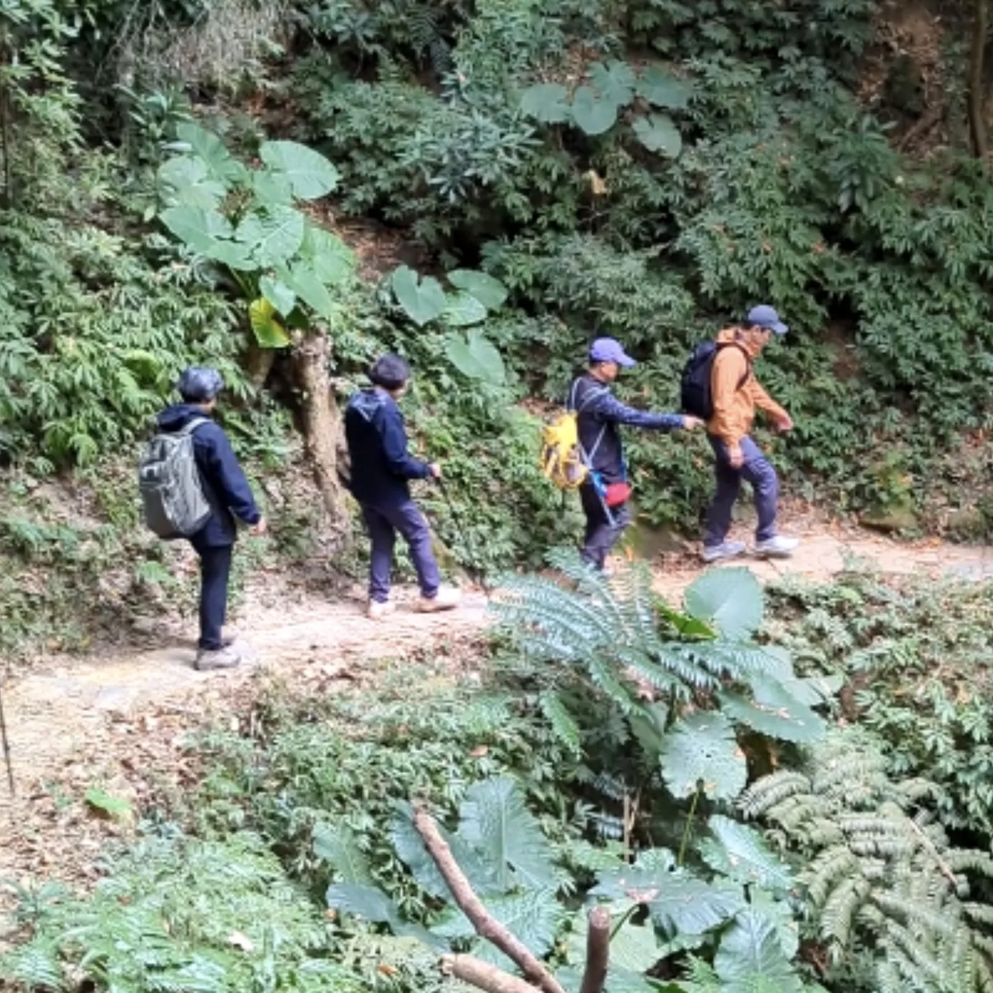 蔡英文表示，卸任後最愛的日常，就是爬山。翻攝自蔡英文threads