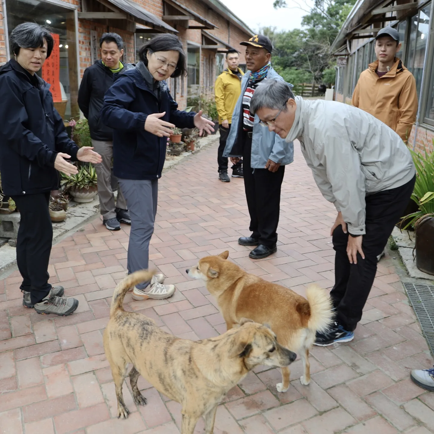 蔡英文在 Threads 分享浪漫台三線「樟之細路 」的登山花絮影片，右為客委會前主委楊長鎮。翻攝自蔡英文threads