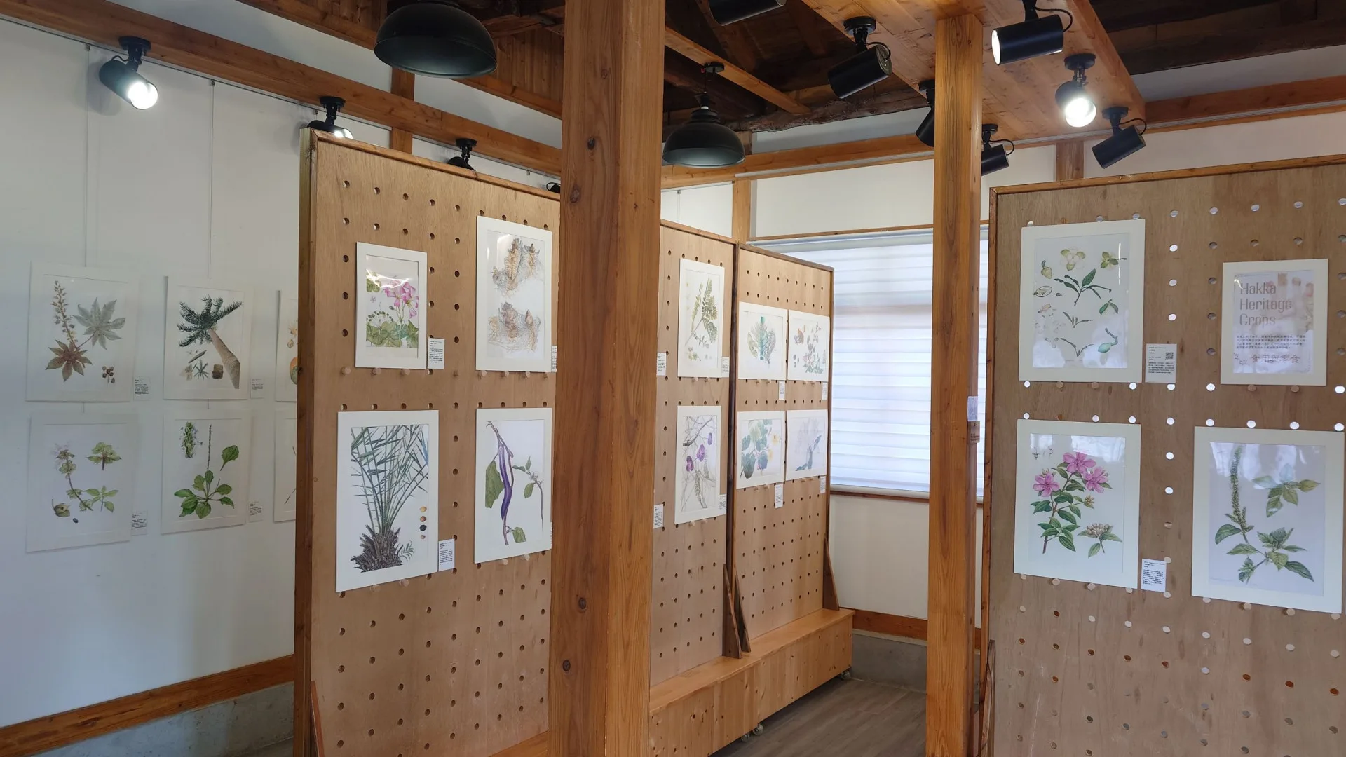 嘉義樹木園即日起展出「植物學藝術繪畫X客家遺產作物」。林試所提供