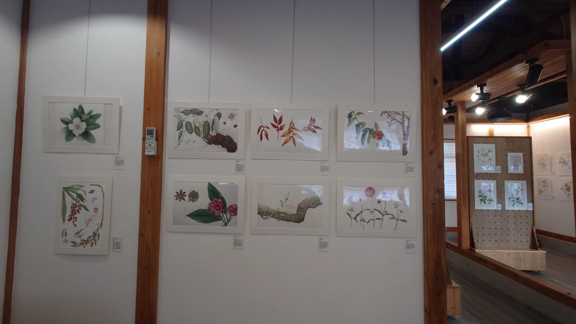 植物變畫作，嘉義樹木園展出客家遺產作物之美。林試所提供