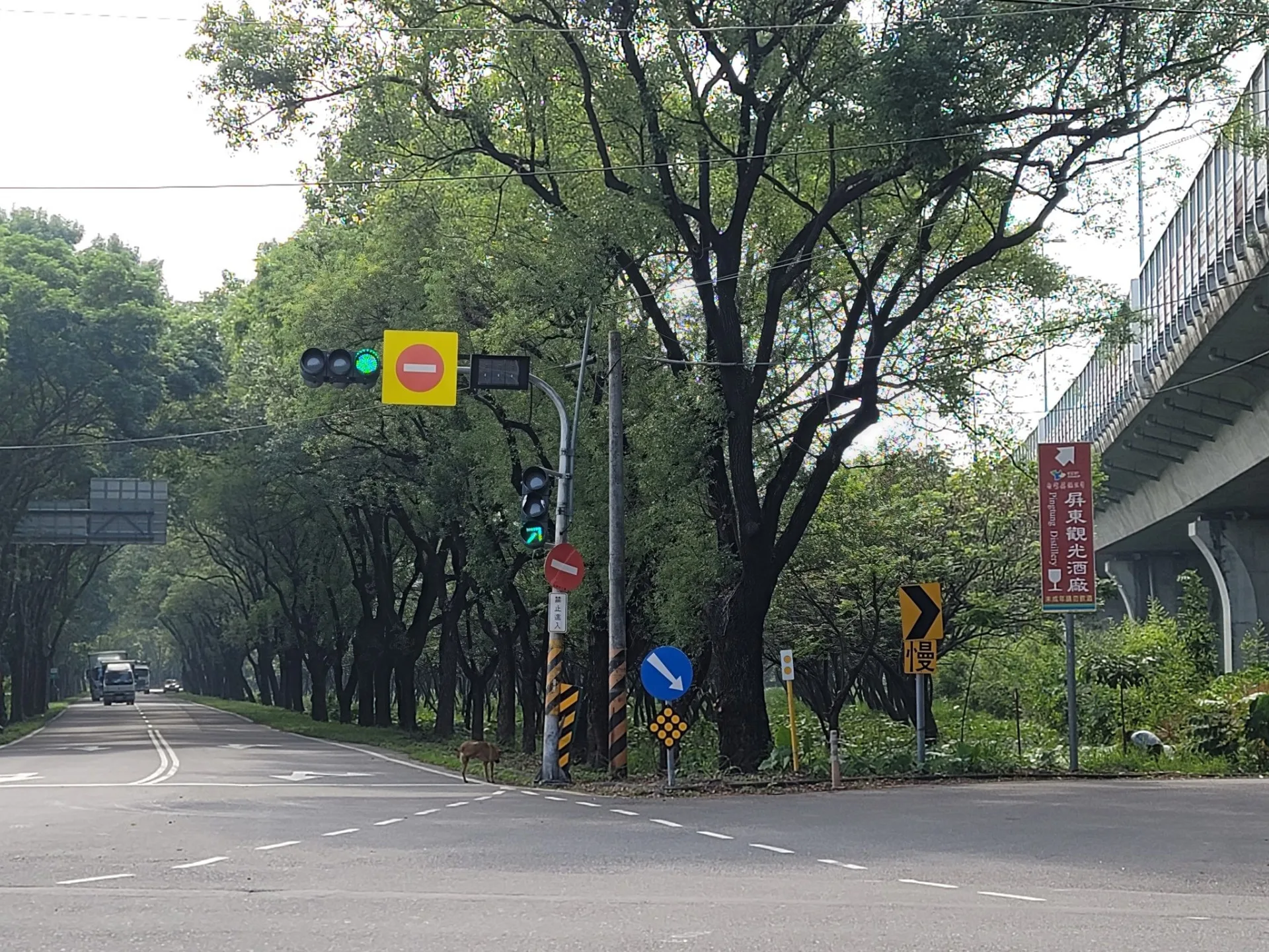 擔任工務處處長期間，謝勝信推動拓寬園區前方道路，並促成國道交流道直接連接園區。翻攝自 六堆客家文化園區臉書