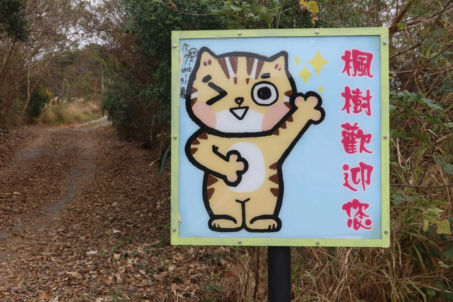 通霄鎮楓樹里是石虎棲息地，里內豎立可愛石虎卡通歡迎遊客。何來美攝