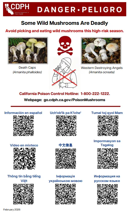 CDPH製作的單張告示。翻攝自CDPH官方網站