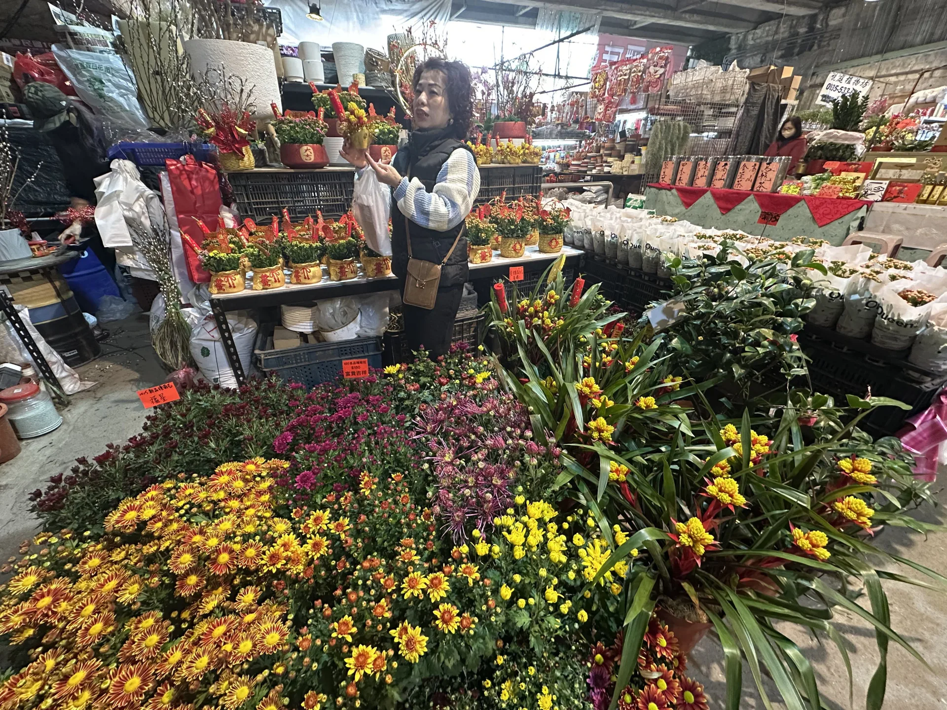 桃園假日花市自2月7日起至2月22日連續營業16天，除夕當日也照常營業。桃園市政府農業局提供
