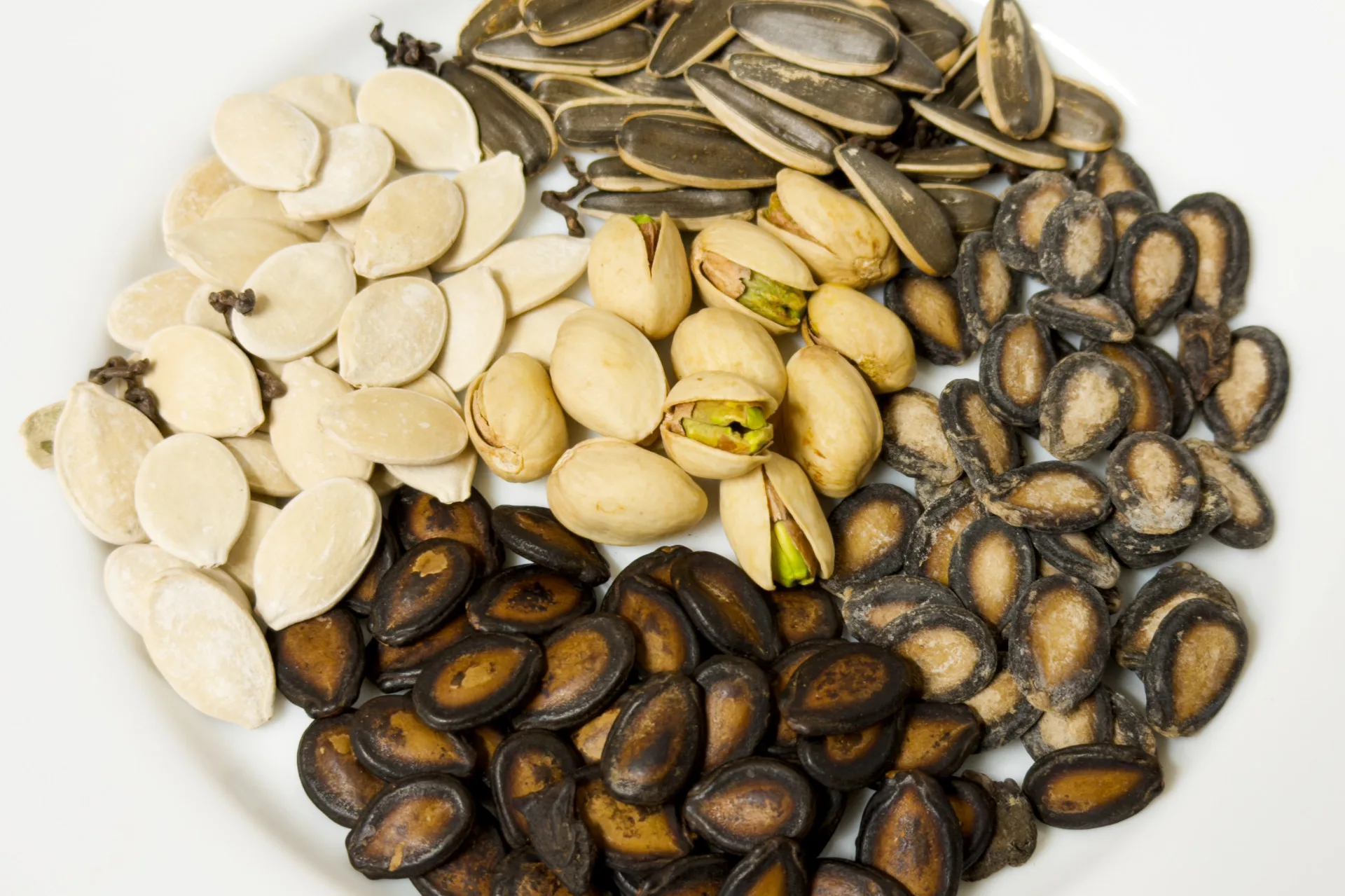 開心果的仁帶有綠色的衣。蕭秀琴攝