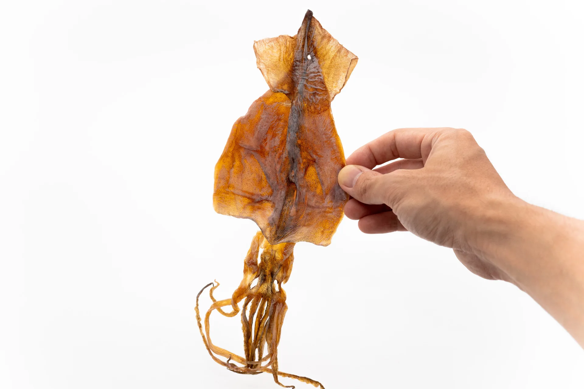 焙魷魚乾。Kazu777攝