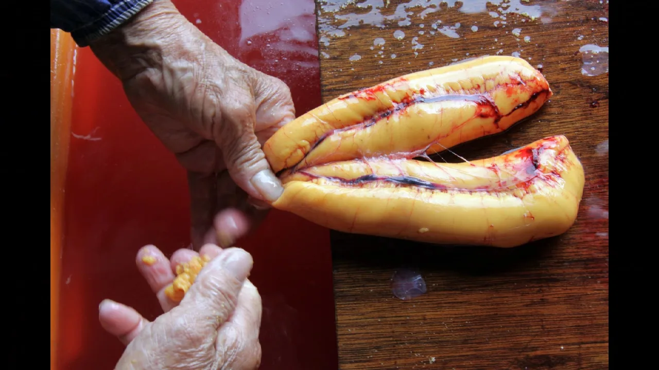 竹魚水產的烏魚子不放血,取出後,表皮刮乾淨,就放入冷凍。許志豪提供