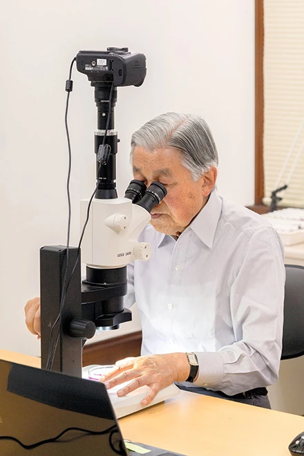 日本明仁天皇（Akihito）長期投入蝦虎魚科（Gobiidae）分類與系統研究，曾於日本與國際魚類學期刊發表論文。翻攝自日本宮內廳網站