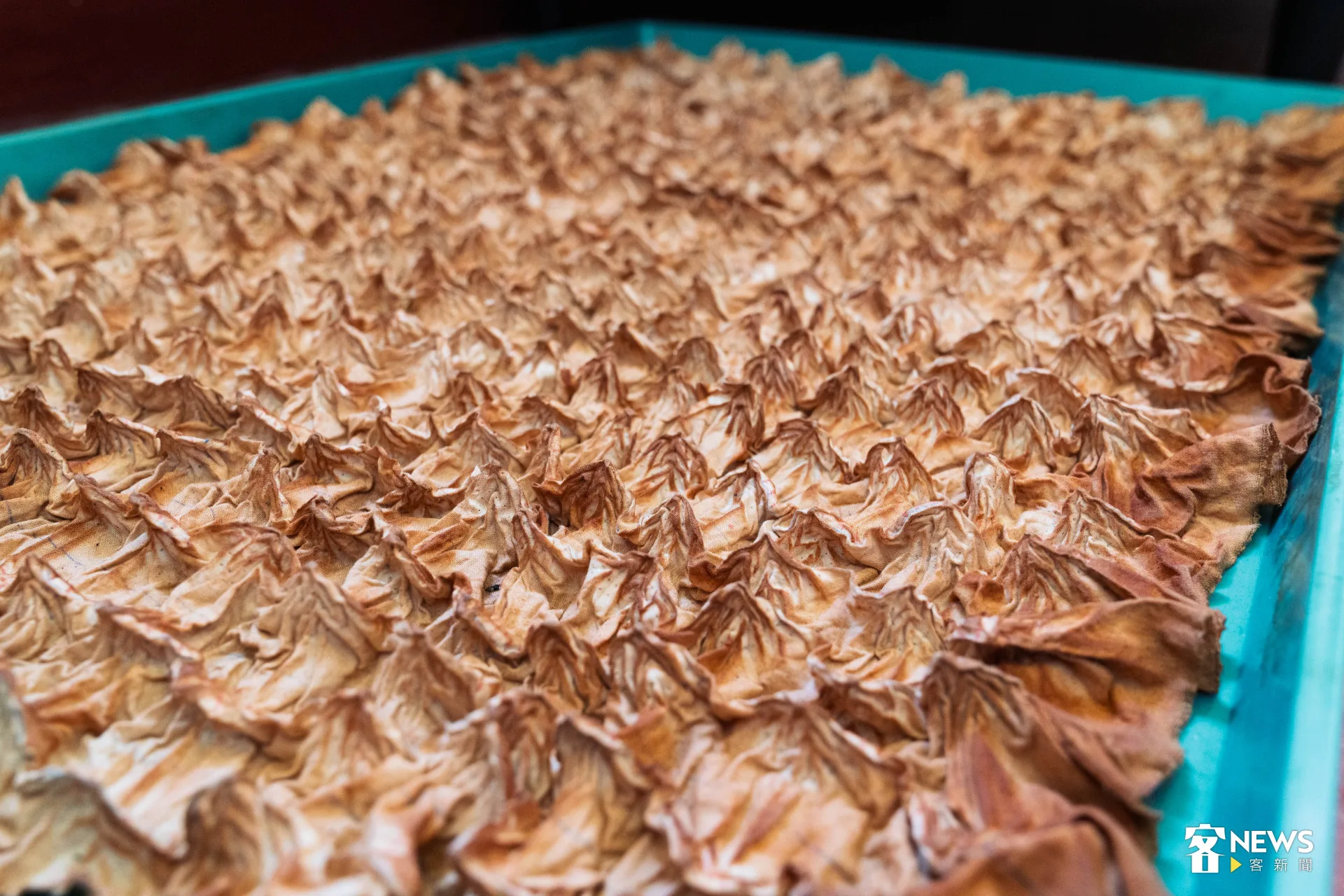 抽掉縫線後讓布料吃色不一的技法。范修語攝