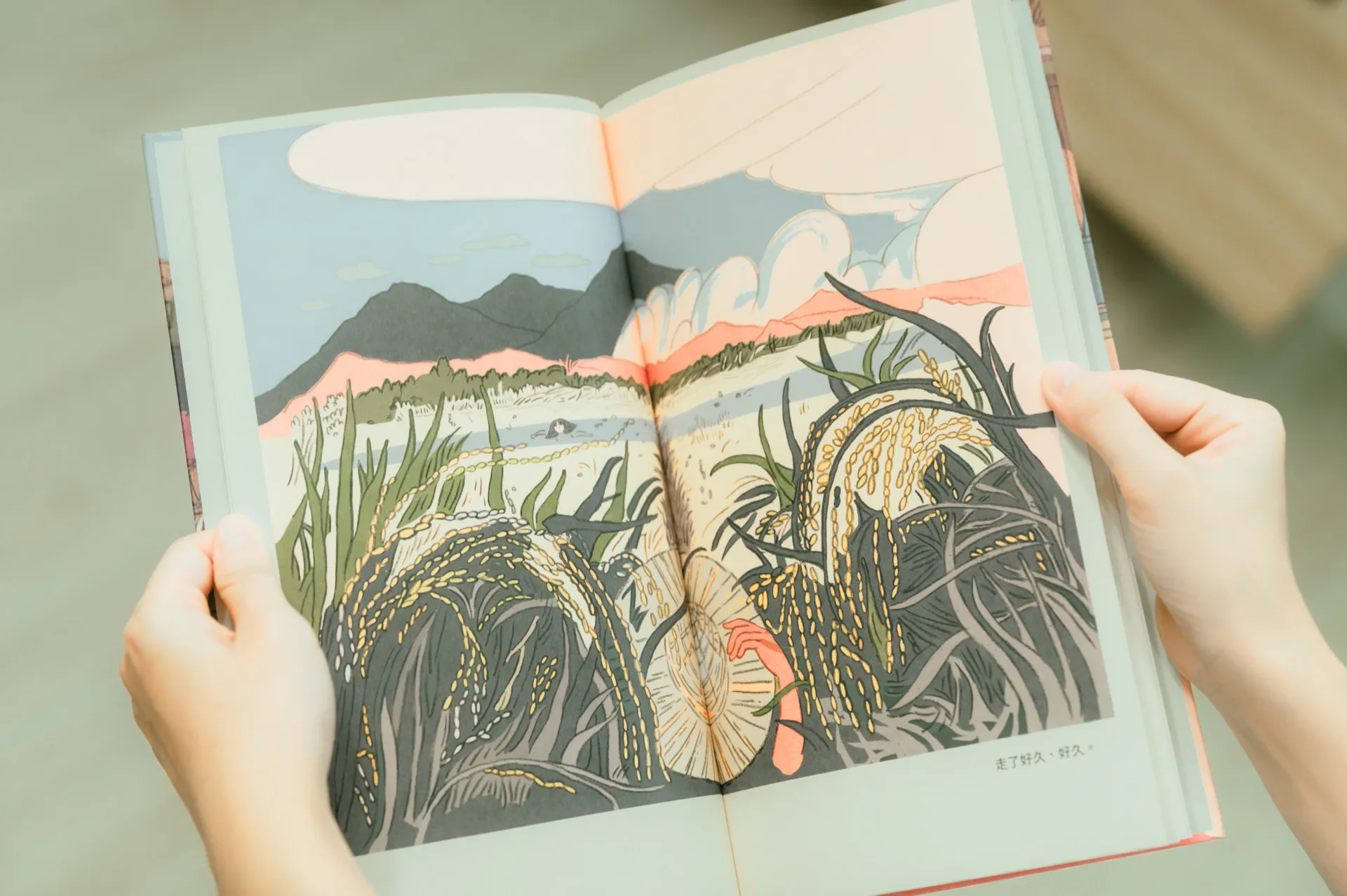 吳致怡畢業製作繪本作品《她沒說的》。