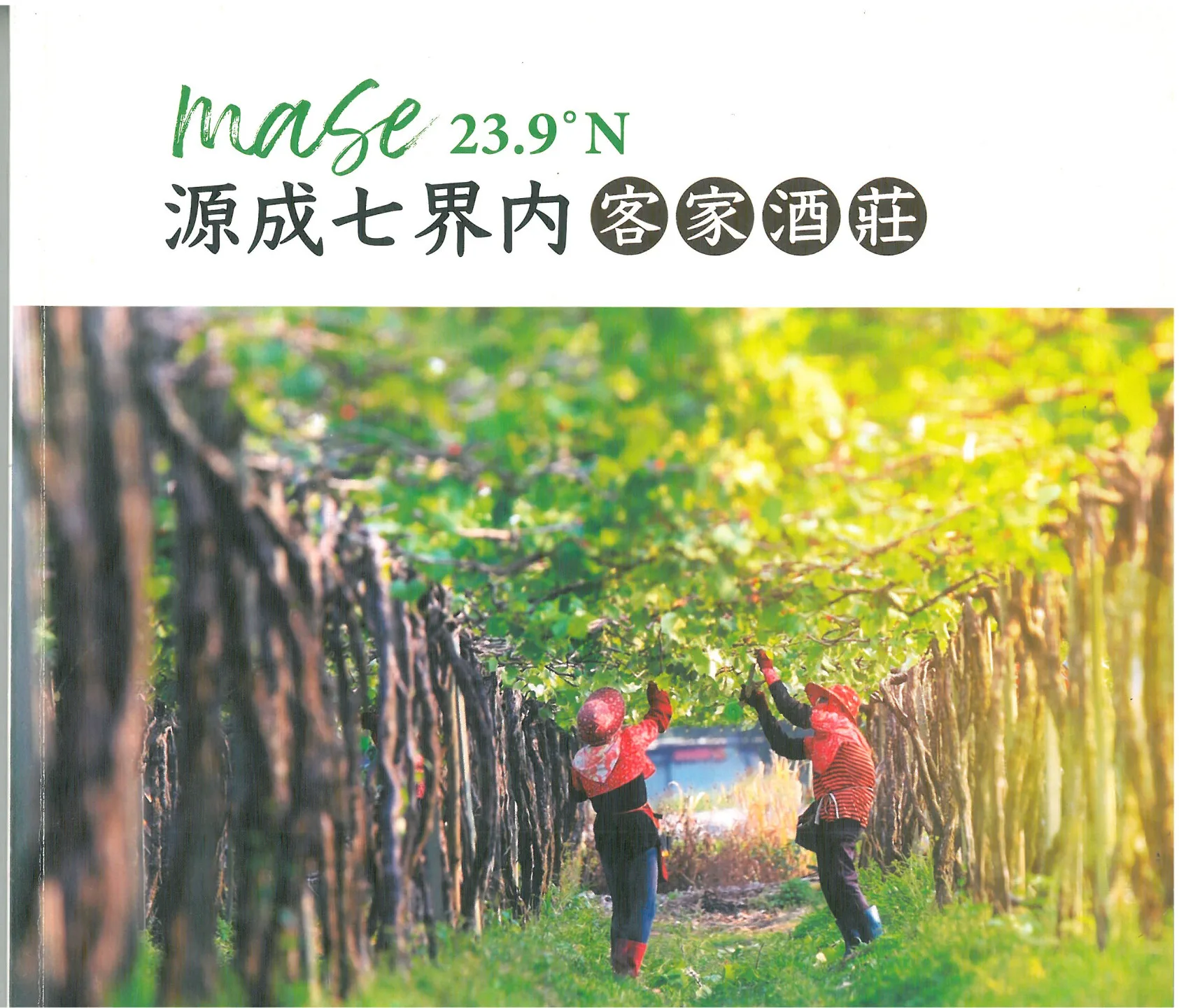 時任客家委員會主委楊長鎮在《源成七界內客家酒莊》書中序言提到：在南彰化舊濁水溪畔的沖積平原上，有一個來自桃竹苗客家二次移民的「源成七界內」客家庄，他們創造了客家酒莊。楊長鎮強調，這是個客家「島」的故事，也是勇氣與堅持的故事。這些七界內的客家妹她們可能沒有留下豐功偉業，卻用平凡而堅韌的生命，撐起家族與文化的延續。感謝作者許佩玟提供本書。2026年楊國鑫封面翻拍