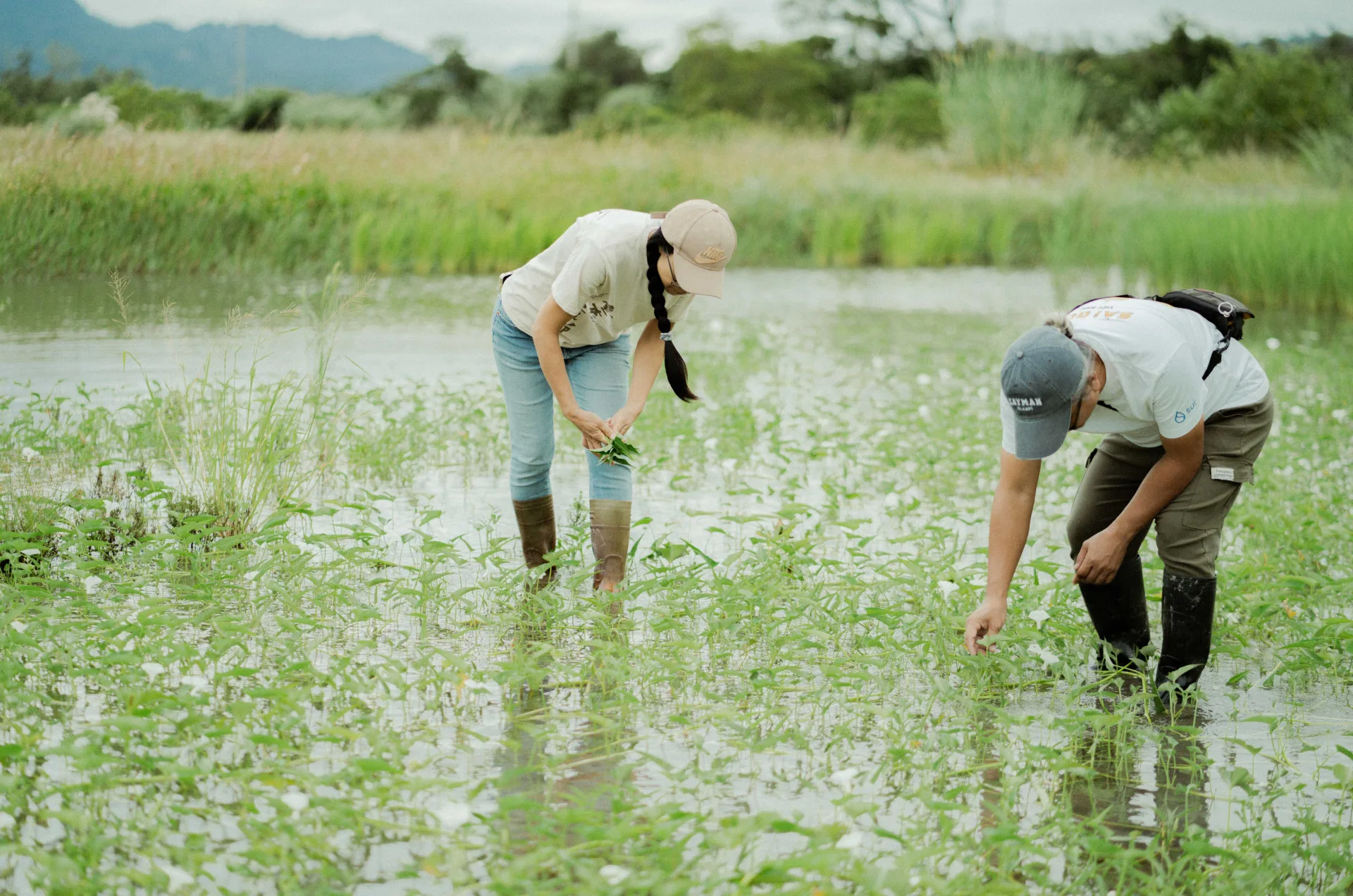 游雅鈴一家四口以「山谷裡的一家人」為名自產自銷有機農產品。