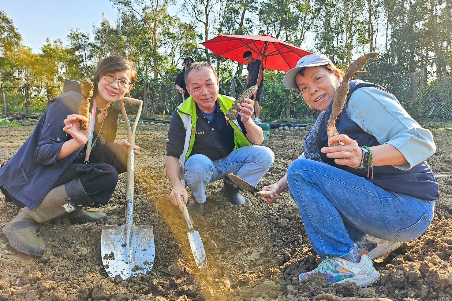 大家用砂鐐挖蓮根。邱鴻春提供