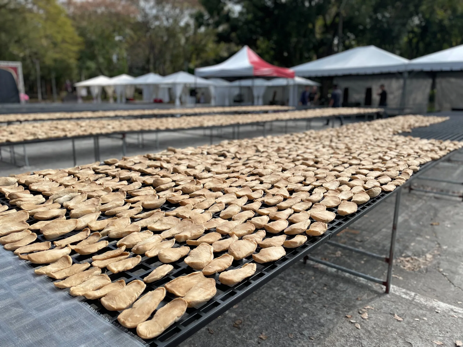 老菜脯跟豆乾都是范僑芯家中常備。