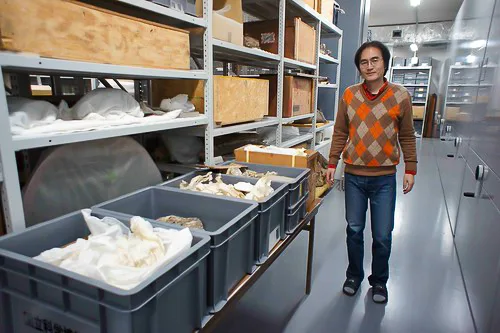 台大生科系副教授蔡政修2014年於日本國立自然科學博物館蒐藏庫查閱標本時留影。早年部分台灣出土材料曾運往日本研究。翻攝自蔡政修教授網站