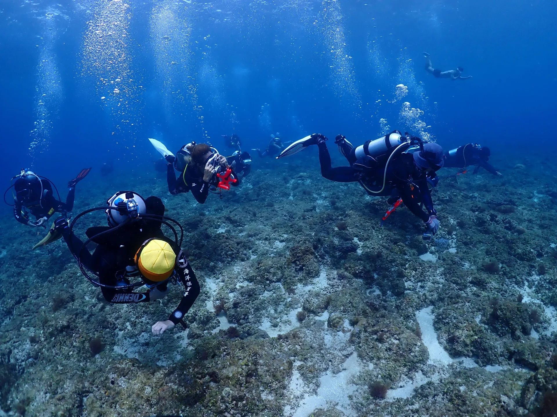 海委會加碼運動幣　邀國人潛水時守護海洋生態