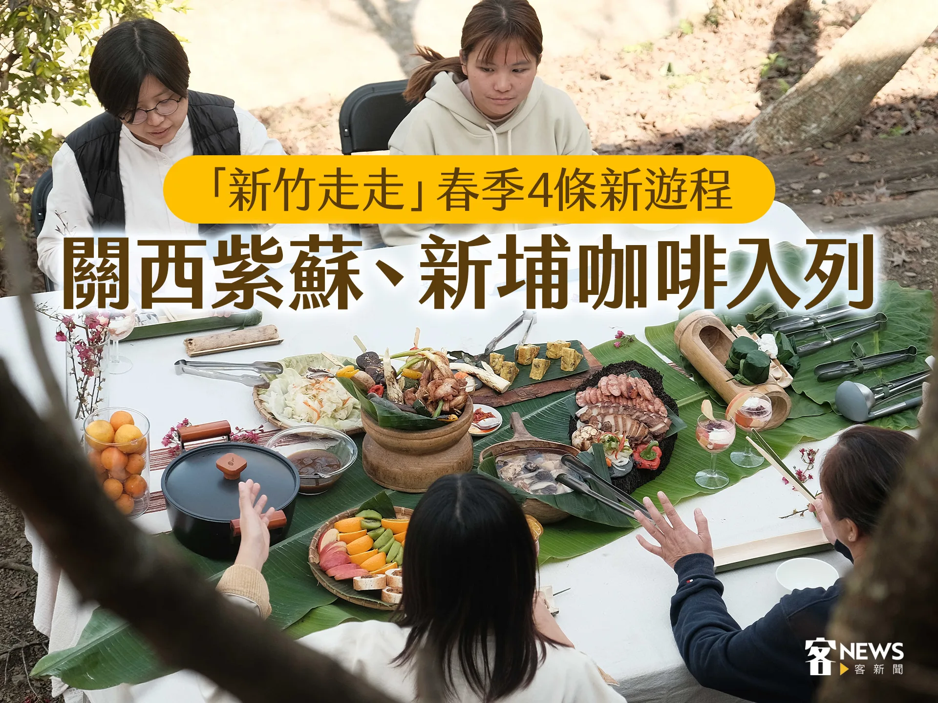 「新竹走走」春季4條新遊程　關西紫蘇、新埔咖啡入列