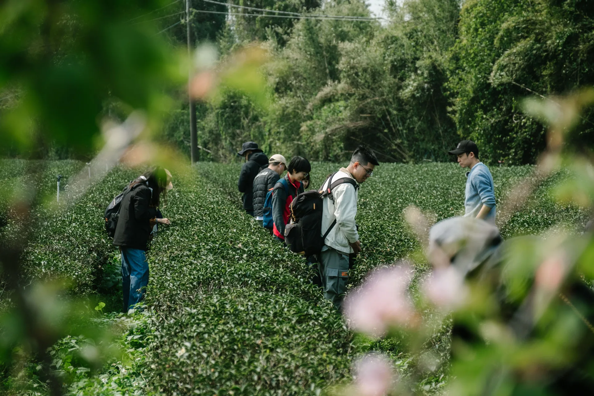 在地職人與導覽員帶領旅客，感受新竹人文與自然魅力。資料照，新竹縣府提供