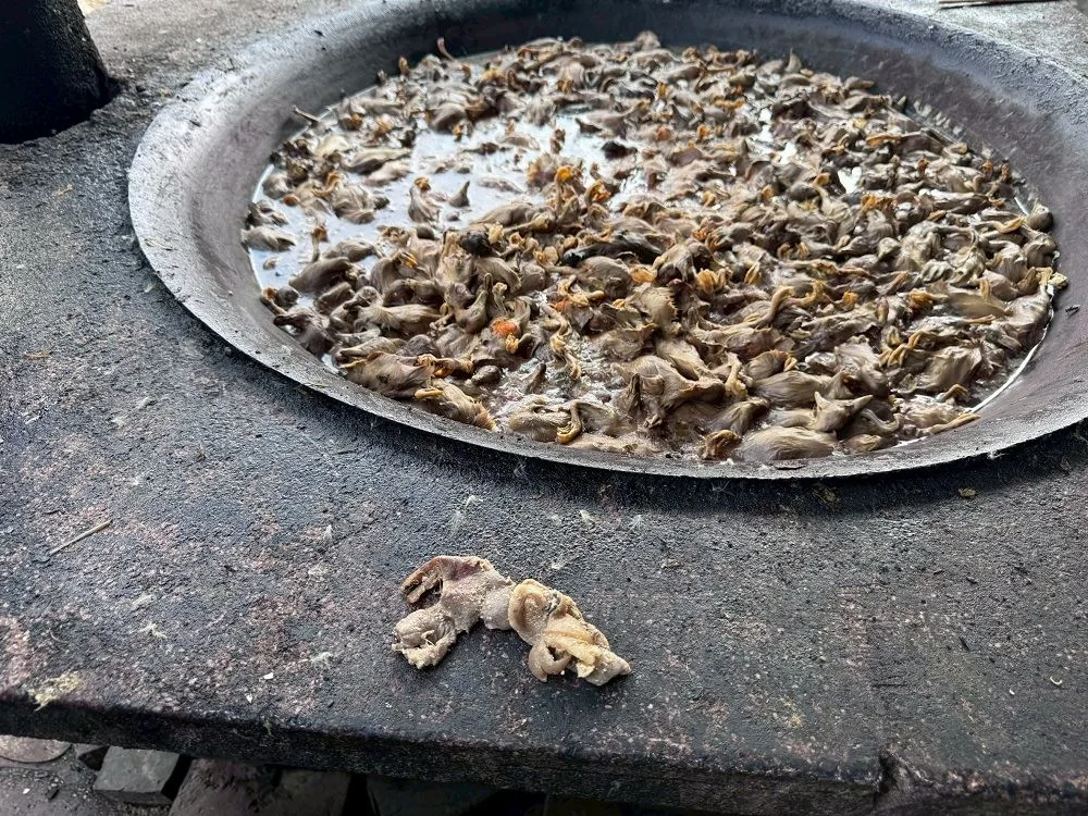 佳冬鄉李姓牧場查獲廚餘動物性廢渣。屏縣府提供