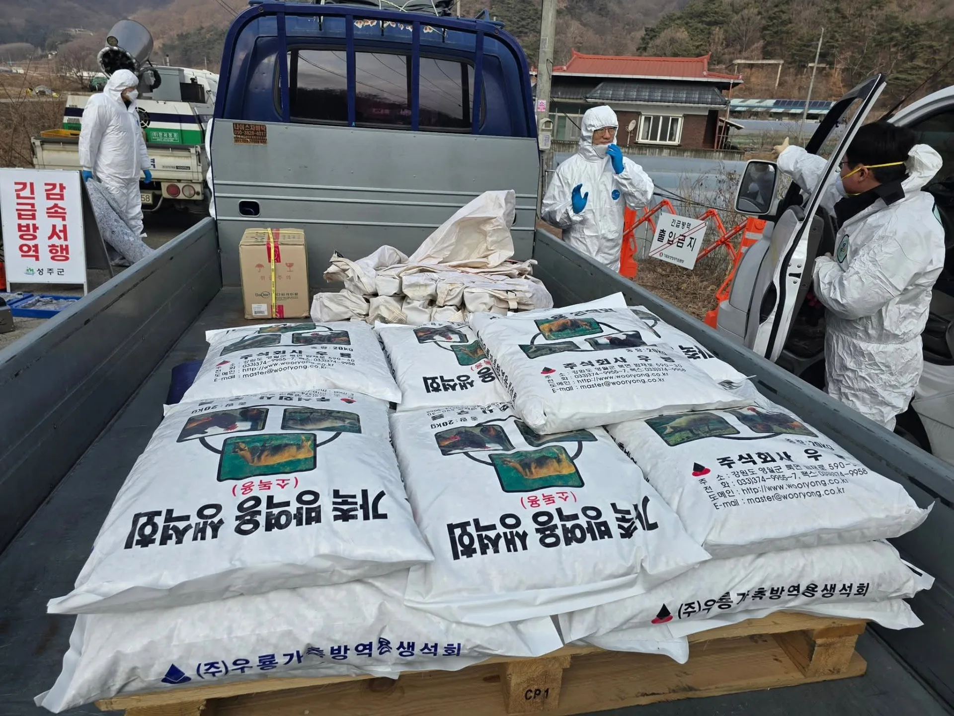 韓國首次檢測出帶有非洲豬瘟病毒的豬飼料。翻攝自慶尚北道畜產農產品流通局局長樸燦國臉書。