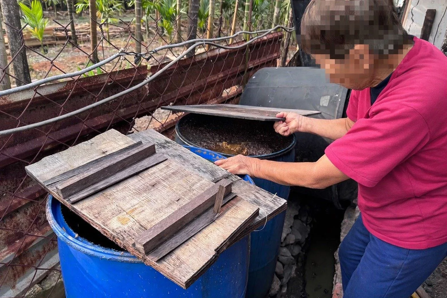 佳冬鄉李姓牧場從外搬運豆渣等廢渣餵飼豬隻。屏縣府提供