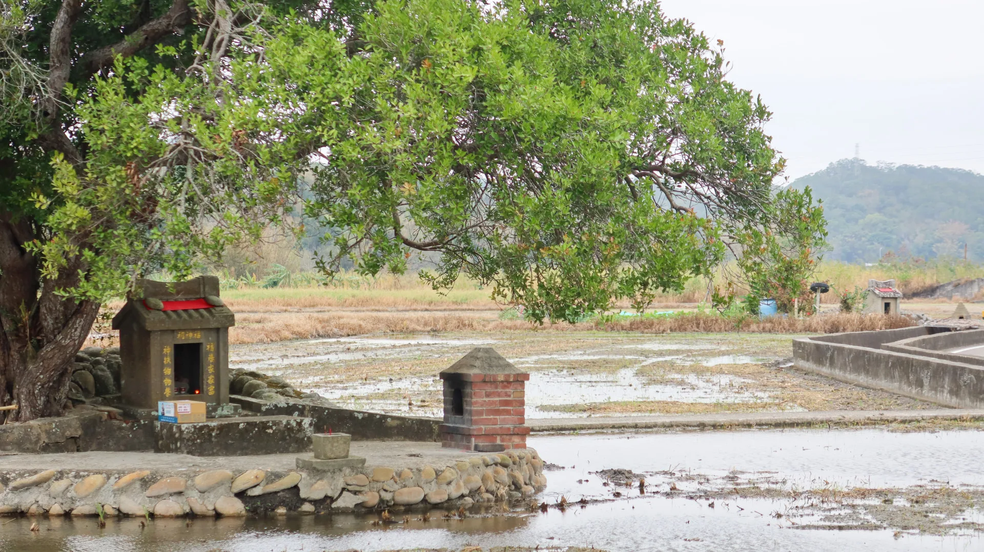 高埔村10鄰徐屋伙房前的田心福神祠(左)與聖王祠(右),相隔僅二、三十公尺,都是石板造型,非常古樸。何來美攝