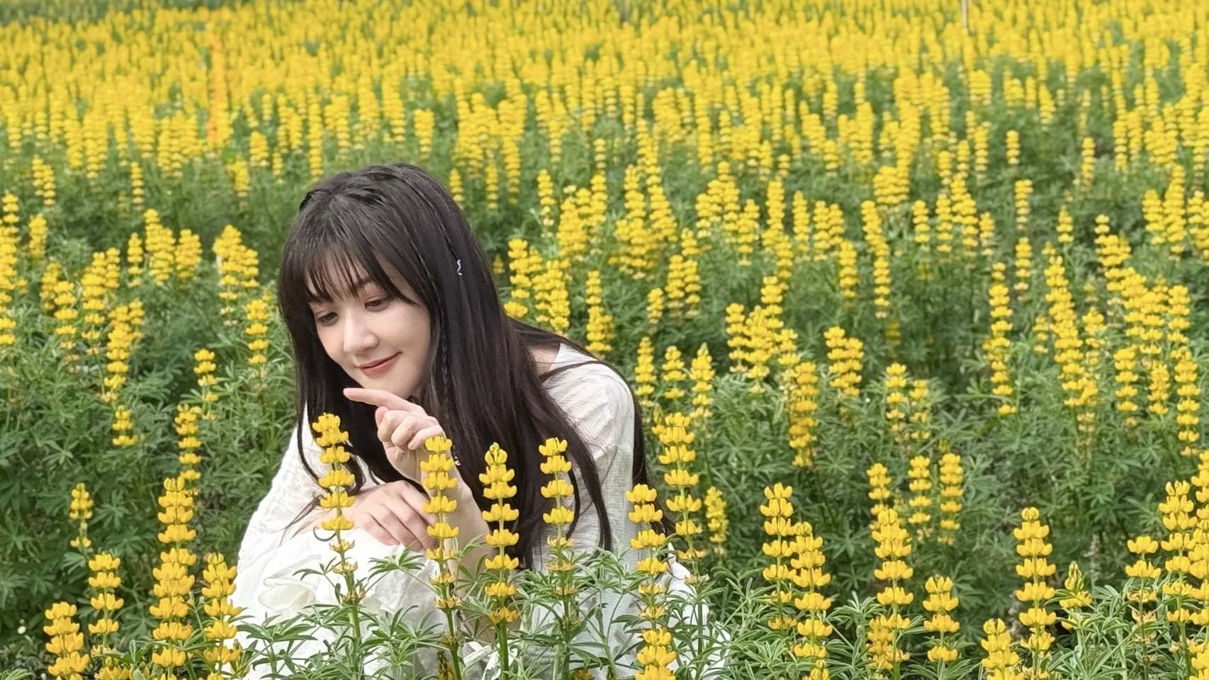 音樂才女林逸欣與魯冰花海。桃市府提供