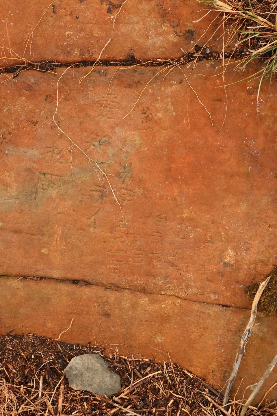 觀測員蕭翔耀仔細拍下巨石上的字樣、希望有人幫忙整理出內容。蕭翔耀提供